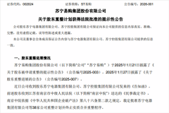 即便张近东小我资零